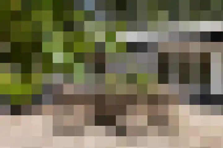 Onder de Bos 235 Hulshorst thumbnail 27