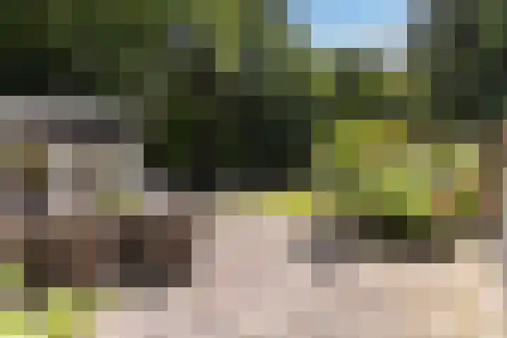 Onder de Bos 235 Hulshorst thumbnail 28