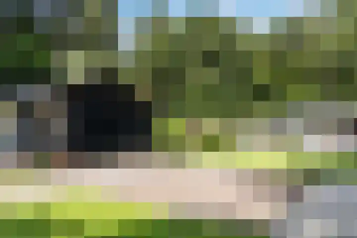 Onder de Bos 235 Hulshorst thumbnail 29