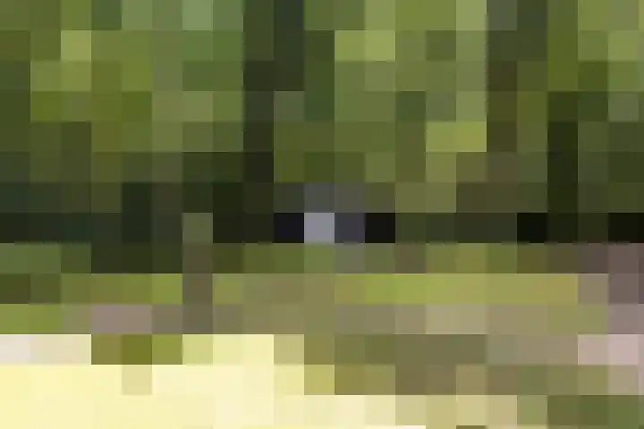 Onder de Bos 235 Hulshorst thumbnail 30