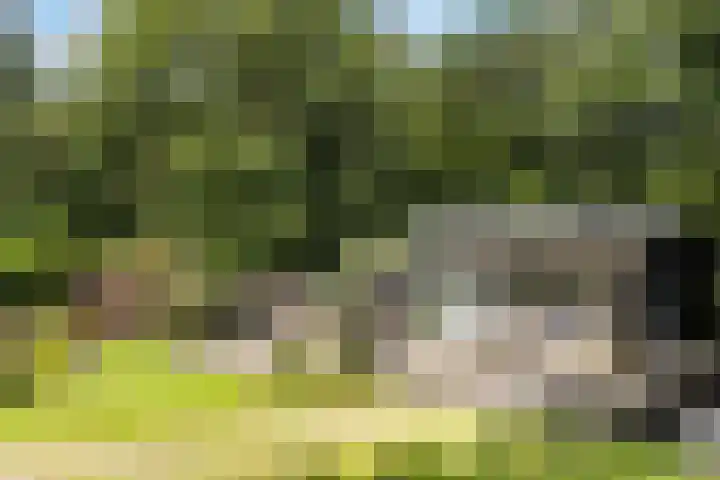 Onder de Bos 235 Hulshorst thumbnail 31