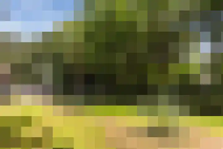 Onder de Bos 235 Hulshorst thumbnail 32