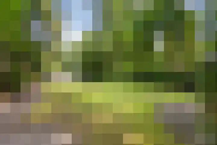 Onder de Bos 235 Hulshorst thumbnail 33