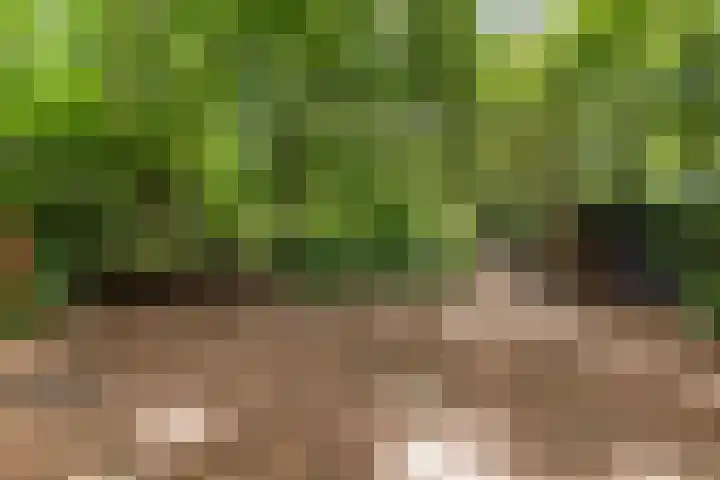 Onder de Bos 235 Hulshorst thumbnail 34