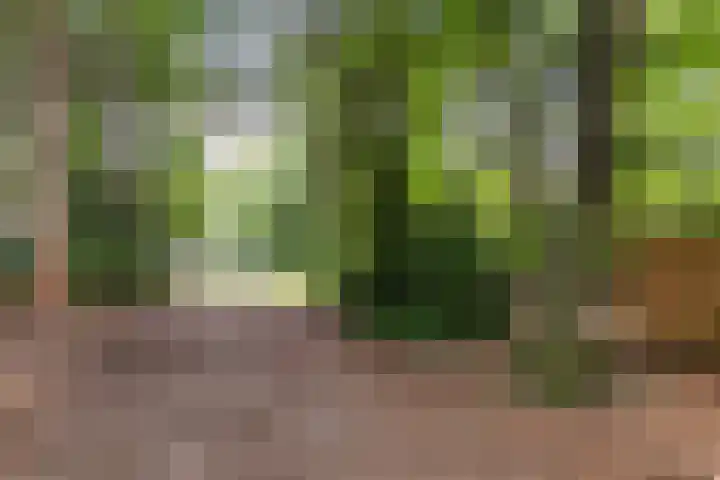 Onder de Bos 235 Hulshorst thumbnail 35