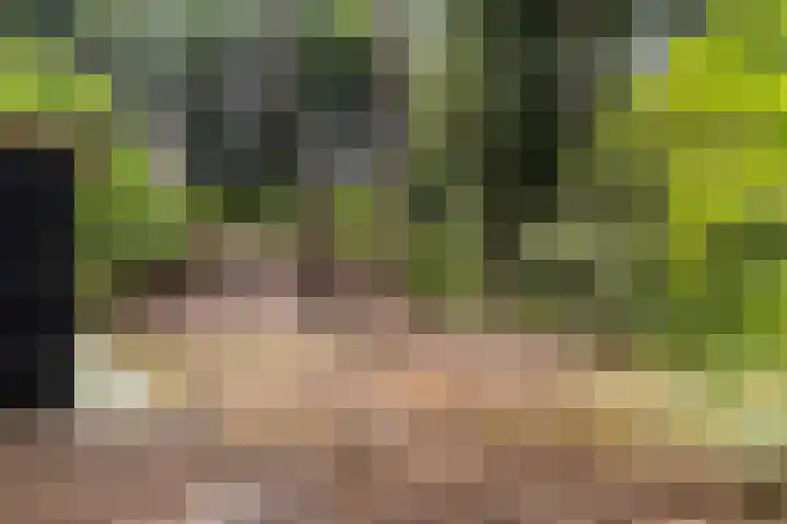 Onder de Bos 235 Hulshorst thumbnail 36