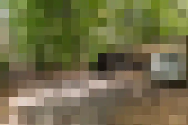 Onder de Bos 235 Hulshorst thumbnail 37
