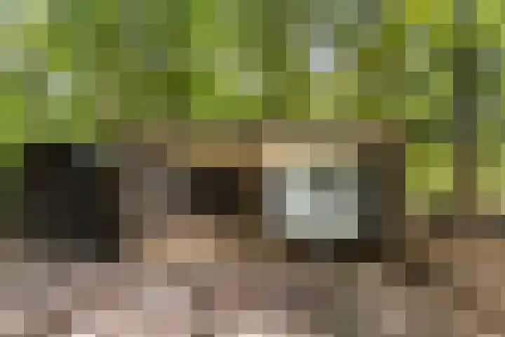 Onder de Bos 235 Hulshorst thumbnail 38