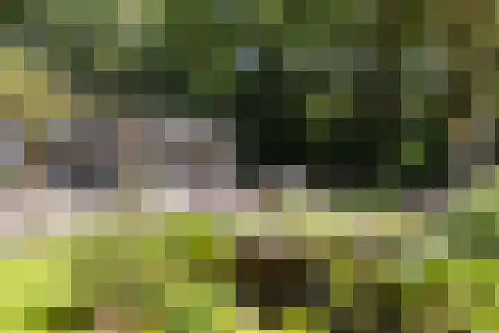 Onder de Bos 235 Hulshorst thumbnail 4