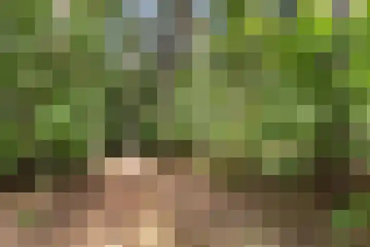 Onder de Bos 235 Hulshorst thumbnail 40