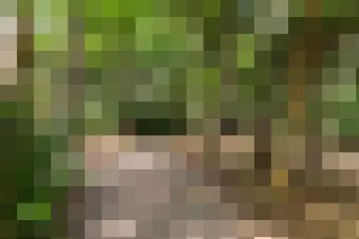 Onder de Bos 235 Hulshorst thumbnail 42