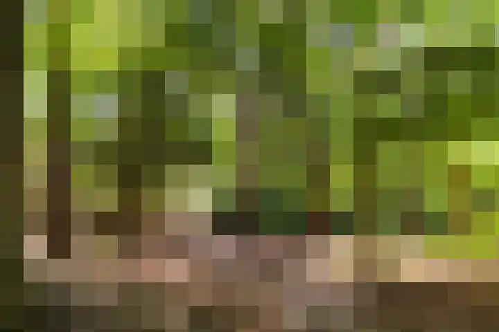 Onder de Bos 235 Hulshorst thumbnail 43