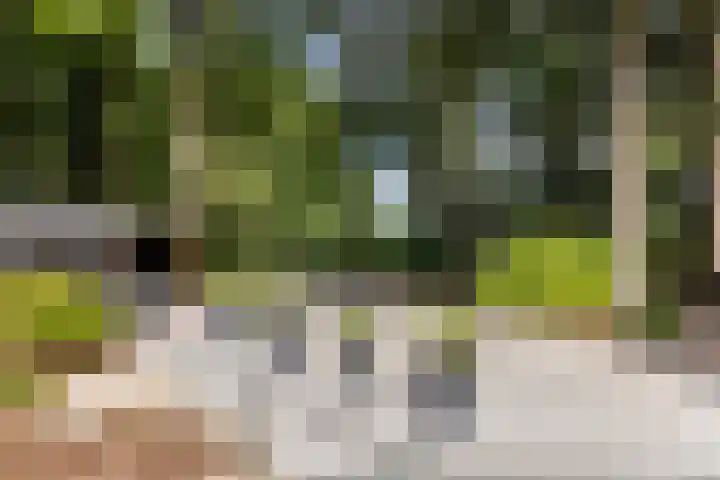 Onder de Bos 235 Hulshorst thumbnail 44