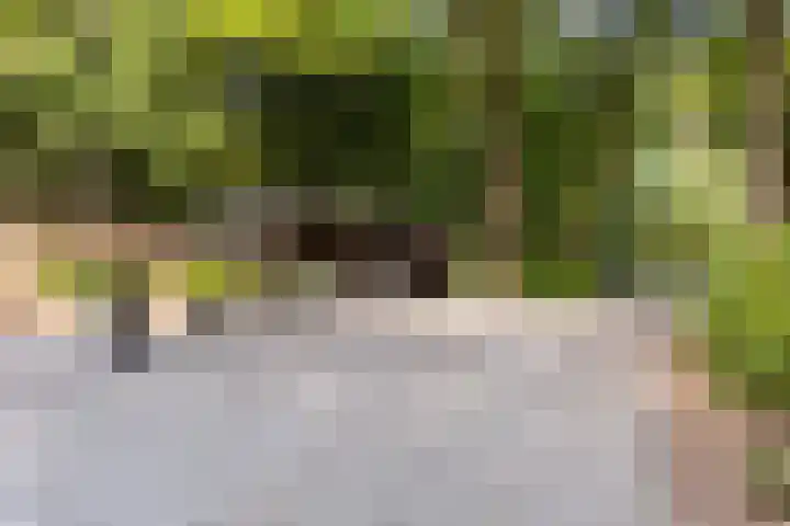 Onder de Bos 235 Hulshorst thumbnail 45