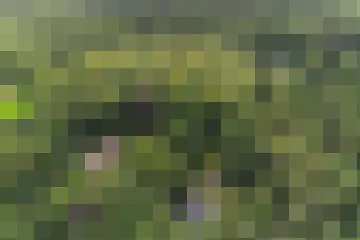 Onder de Bos 235 Hulshorst thumbnail 47