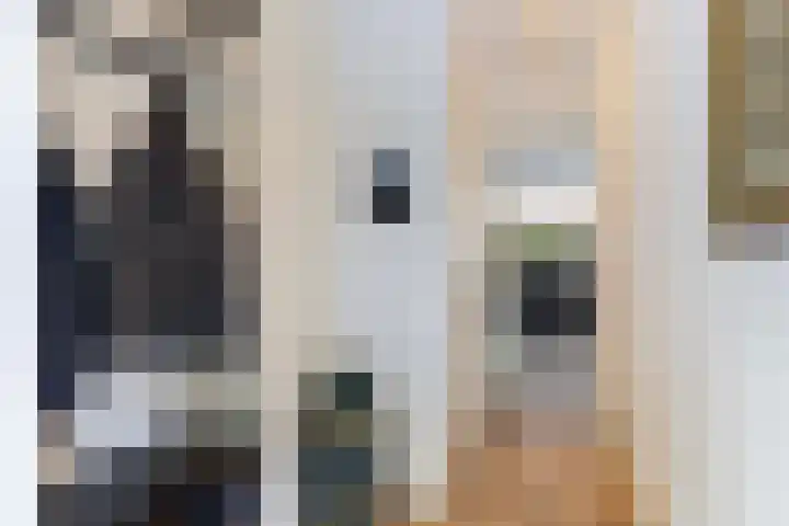 Onder de Bos 235 Hulshorst thumbnail 5