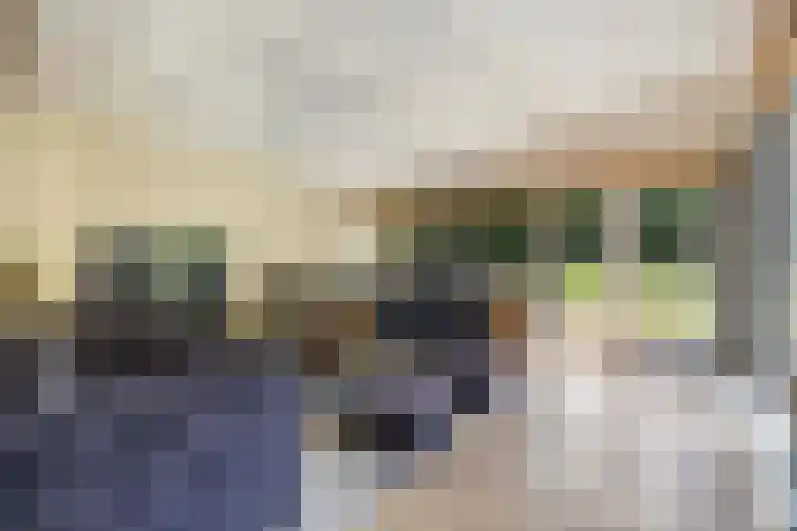 Onder de Bos 235 Hulshorst thumbnail 7