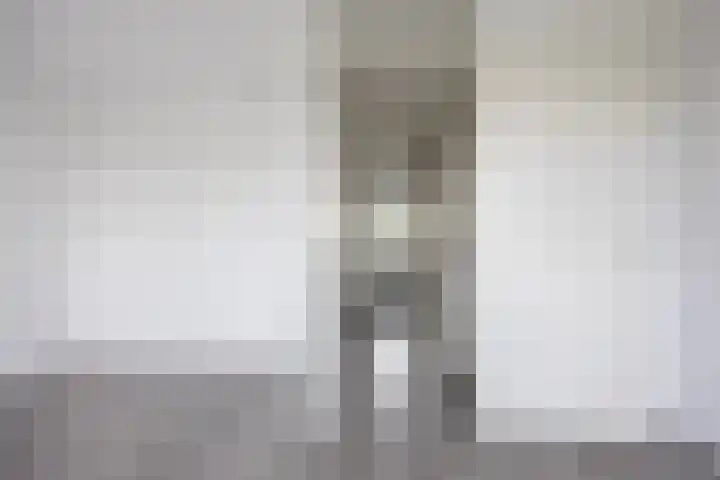 Onder de Jefkes 7 Bergen op Zoom thumbnail 14