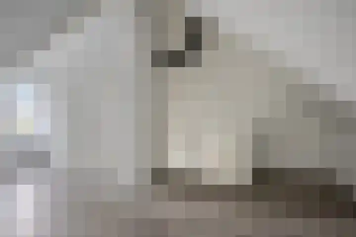 Onder de Jefkes 7 Bergen op Zoom thumbnail 20