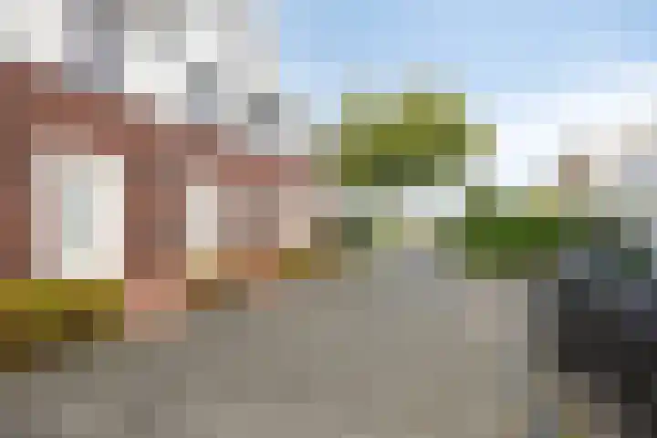 Onder de Jefkes 7 Bergen op Zoom thumbnail 27