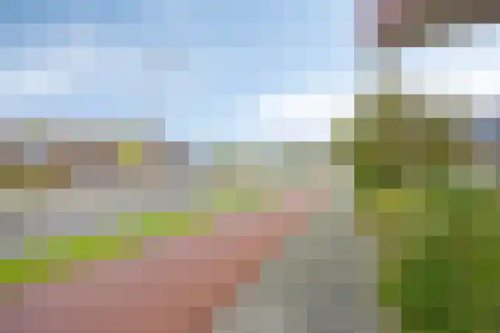 Onder de Jefkes 7 Bergen op Zoom thumbnail 31