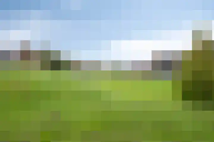 Onder de Jefkes 7 Bergen op Zoom thumbnail 32