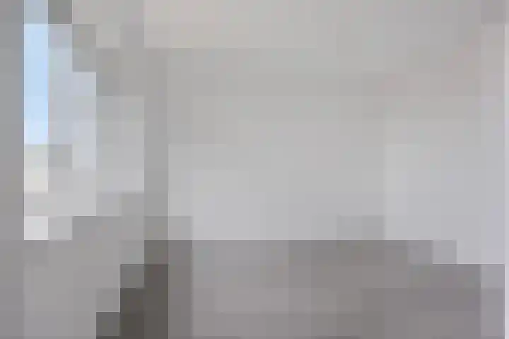 Onder de Jefkes 7 Bergen op Zoom thumbnail 4