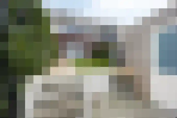 Onder de Jefkes 7 Bergen op Zoom thumbnail 6