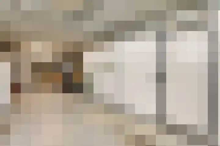 Onder de Kerk 21 D Maastricht thumbnail 18