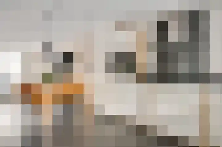 Onder de Kerk 21 D Maastricht thumbnail 9