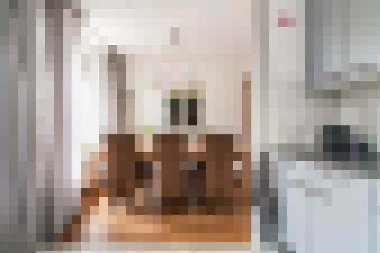 Onder de Linden 22 Zevenaar thumbnail 18