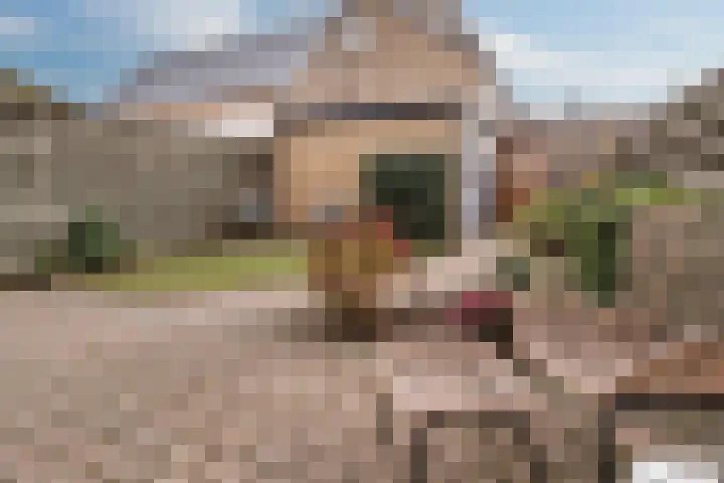 Onder de Linden 22 Zevenaar thumbnail 24