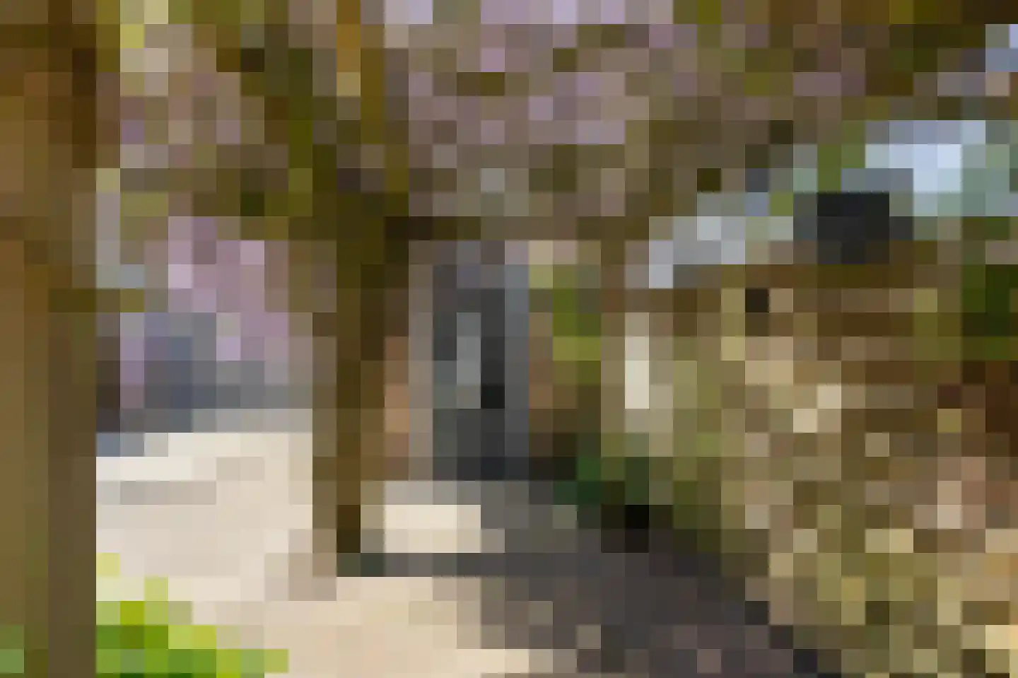 Onder de Linden 23 Zevenaar thumbnail 50