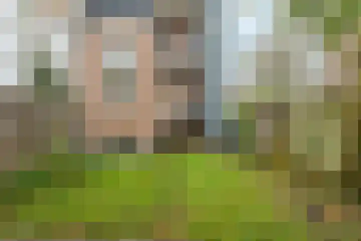 Onder de Linden 25 Arnhem thumbnail 26