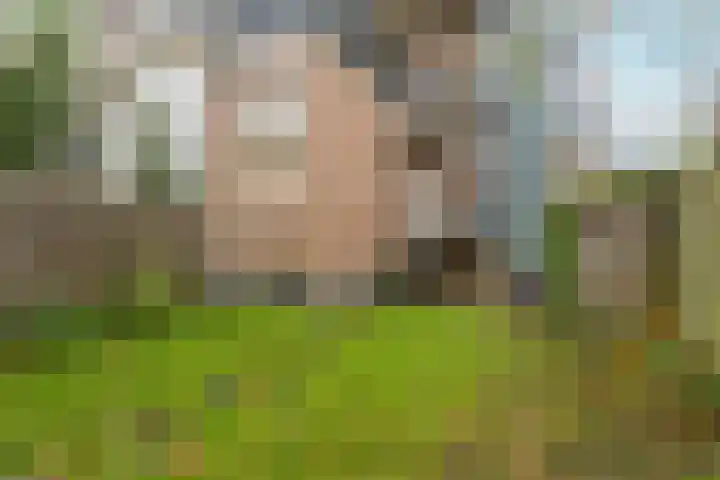 Onder de Linden 25 Arnhem thumbnail 27