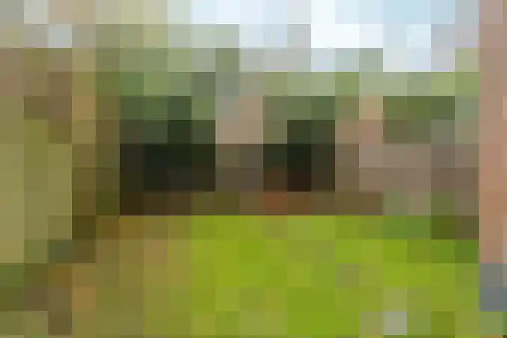 Onder de Linden 25 Arnhem thumbnail 30