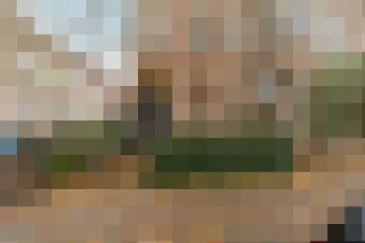 Onder de Linden 25 Arnhem thumbnail 31