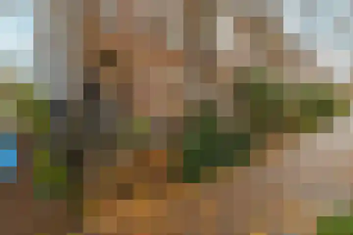 Onder de Linden 25 Arnhem thumbnail 32