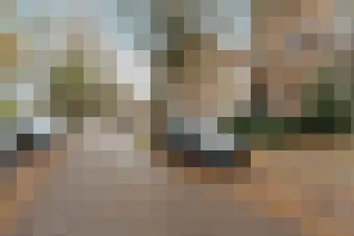 Onder de Linden 25 Arnhem thumbnail 34