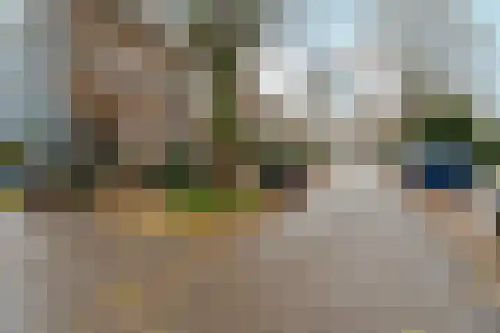 Onder de Linden 25 Arnhem thumbnail 35