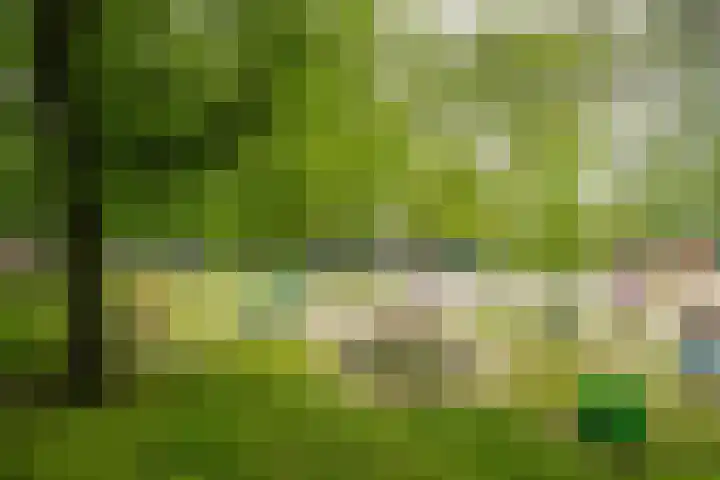 Onder de Linden 25 Arnhem thumbnail 36