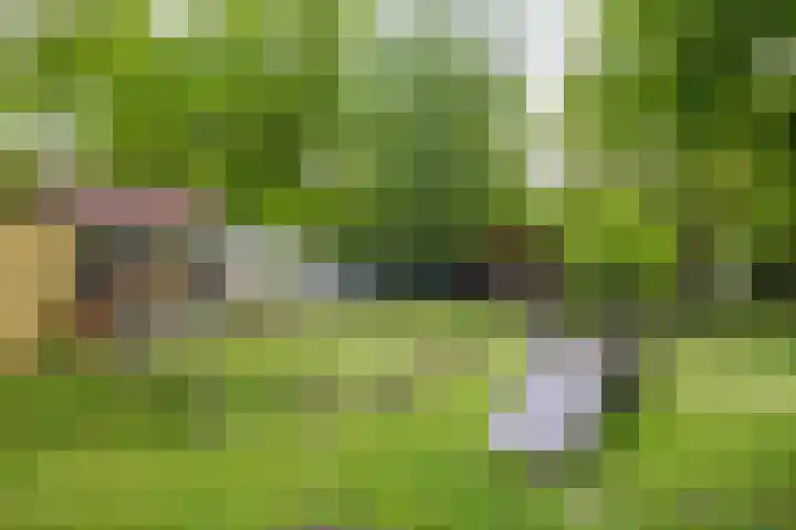 Onder de Linden 25 Arnhem thumbnail 37
