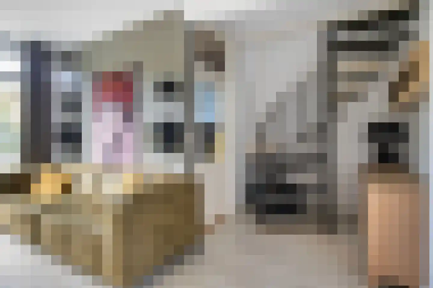 Onder de Linden 4 Zevenaar thumbnail 12