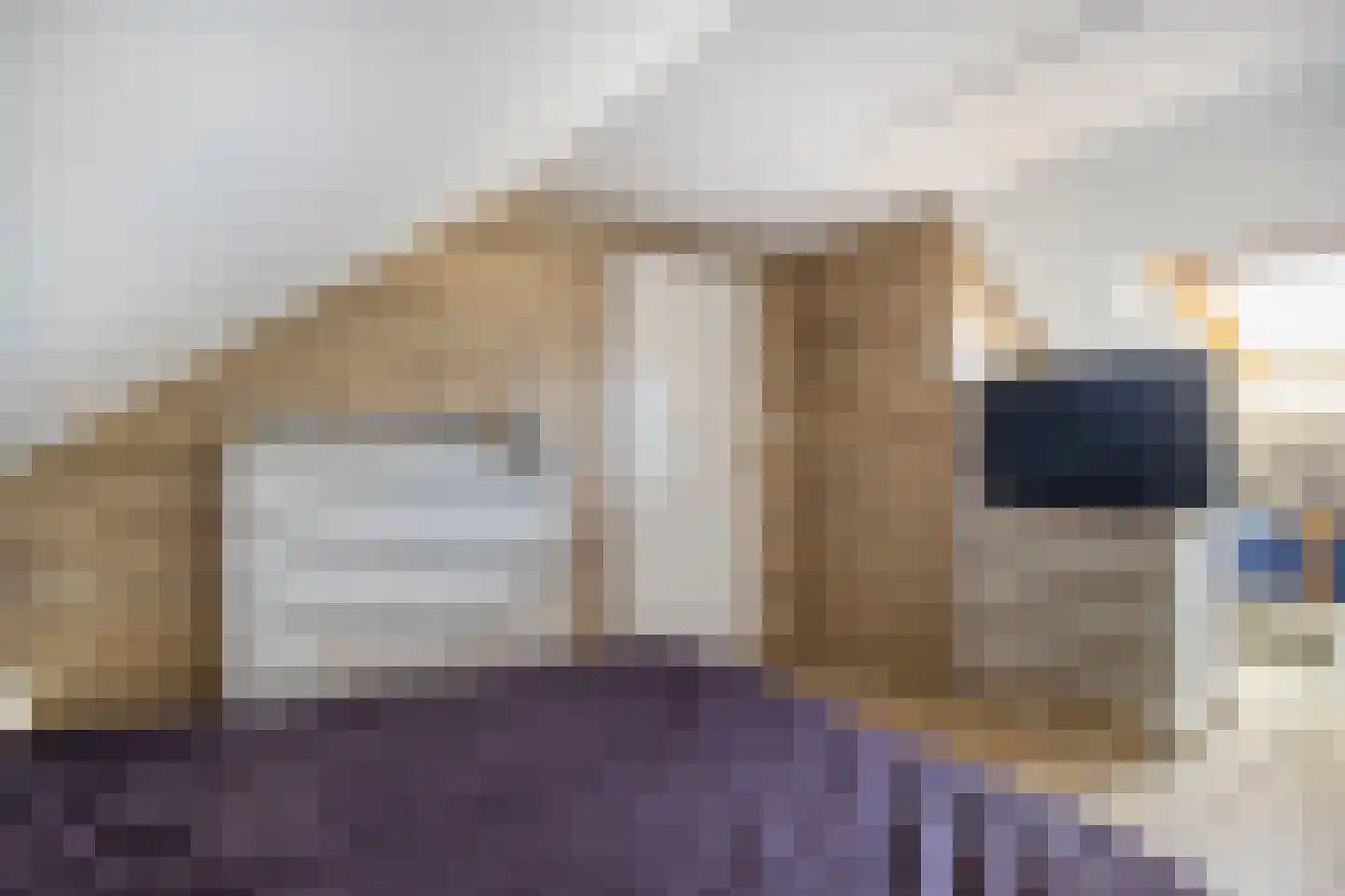 Onder de Linden 4 Zevenaar thumbnail 28