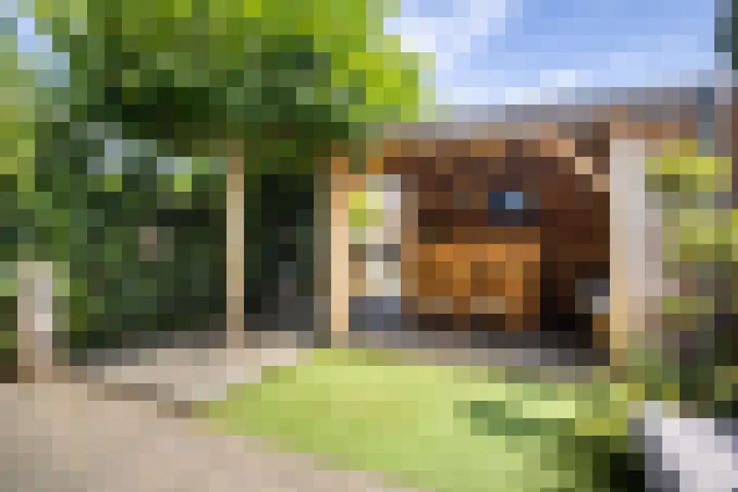 Onder de Linden 4 Zevenaar thumbnail 31