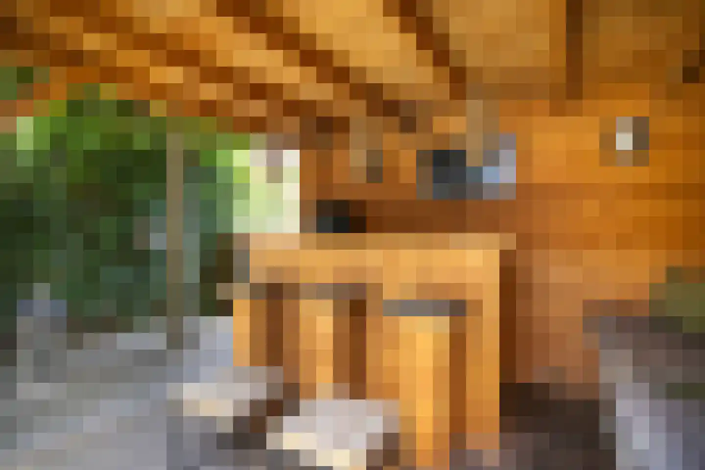 Onder de Linden 4 Zevenaar thumbnail 35