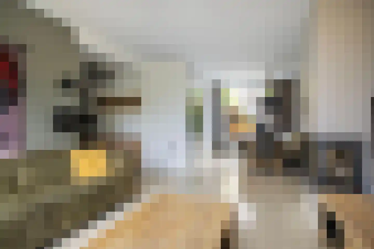 Onder de Linden 4 Zevenaar thumbnail 5