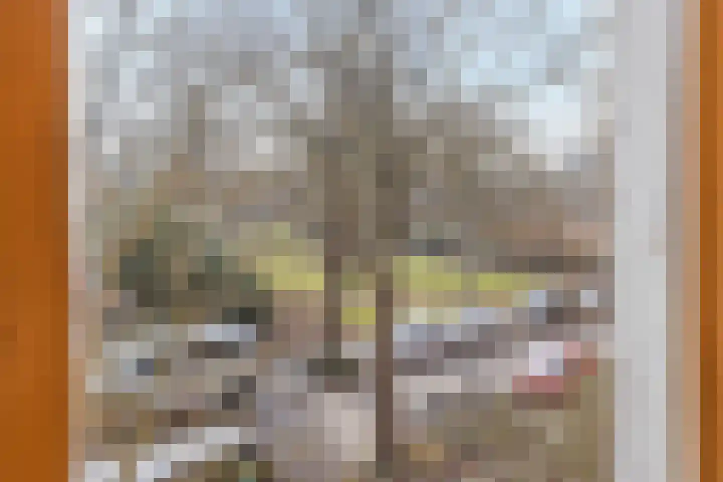 Onder de Linden 43 Arnhem thumbnail 22