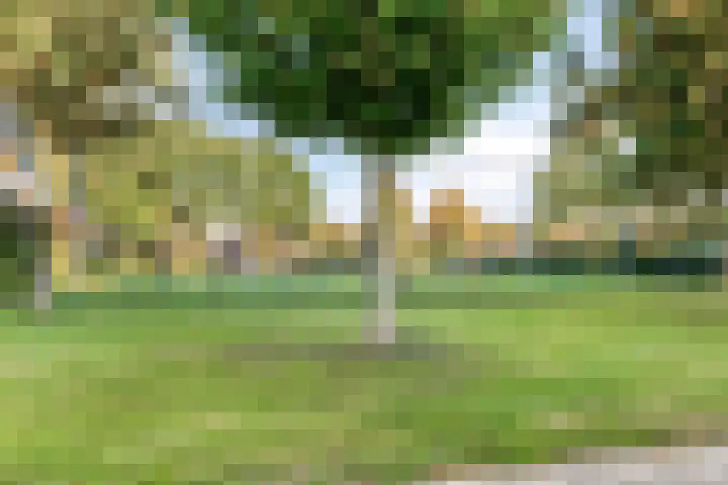 Onder de Linden 5 Zevenaar thumbnail 37