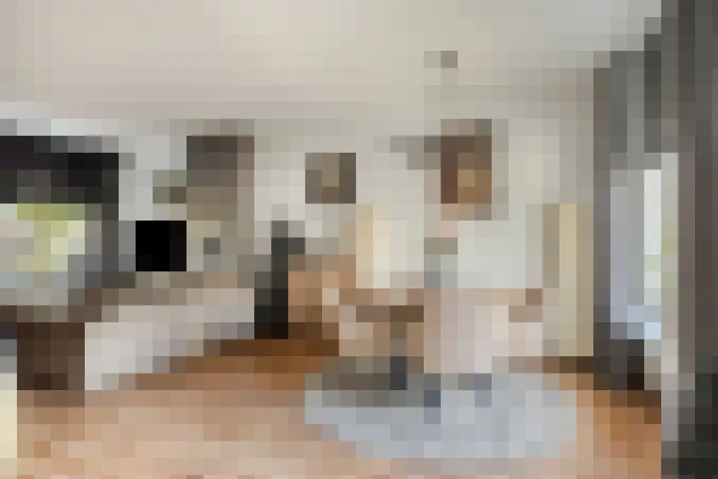 Onder de Linden 5 Zevenaar thumbnail 9